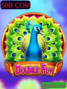 Explorando o Universo de DoubleFly: Um Guia Completo